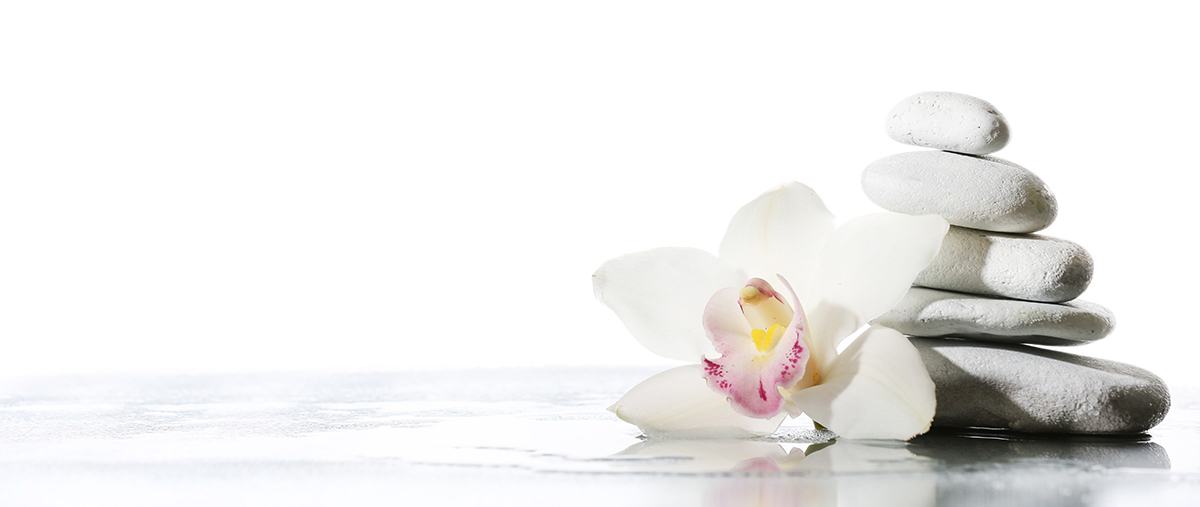 Orchid Spa & Wellness banner